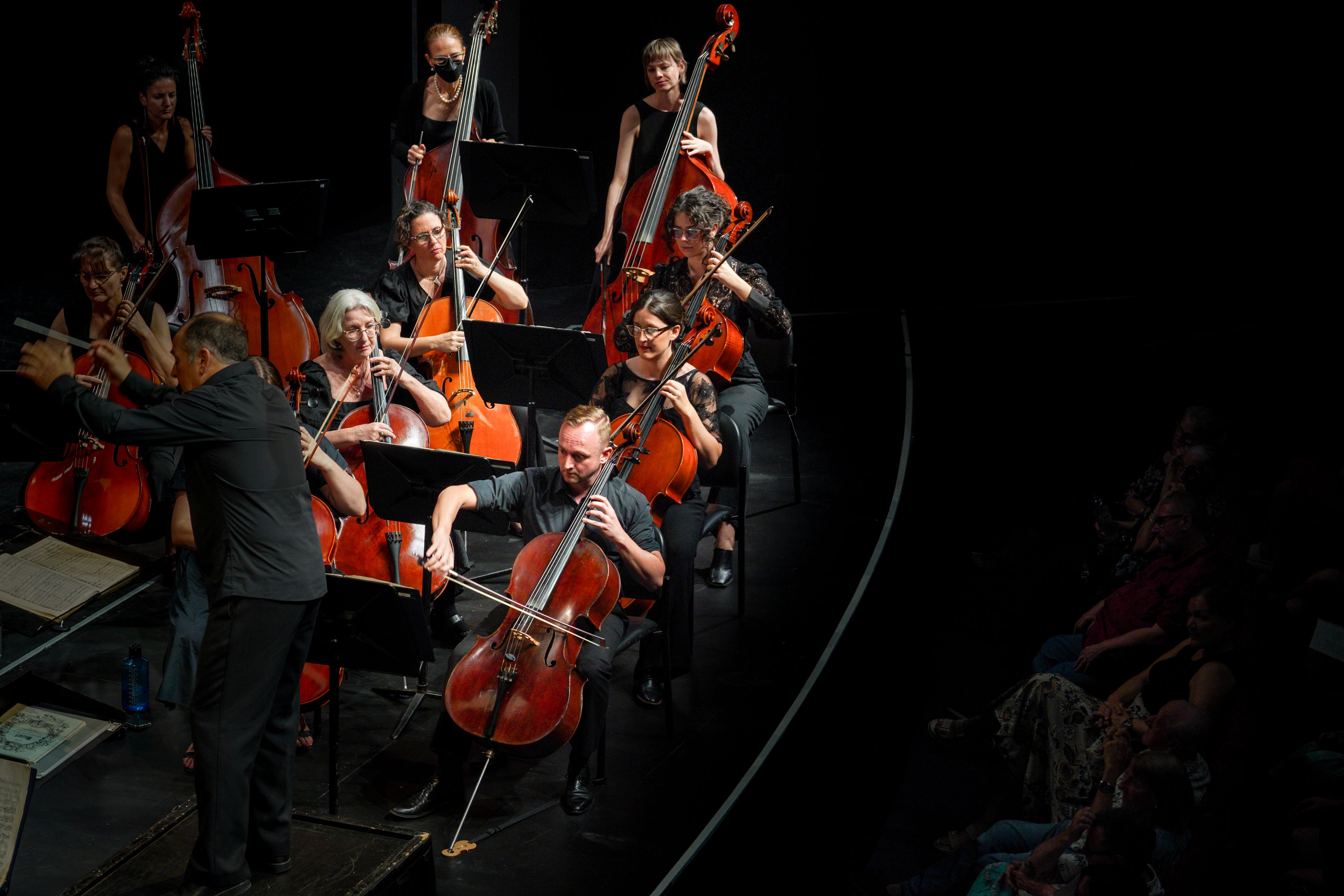 Musician playing the cello for a crowd